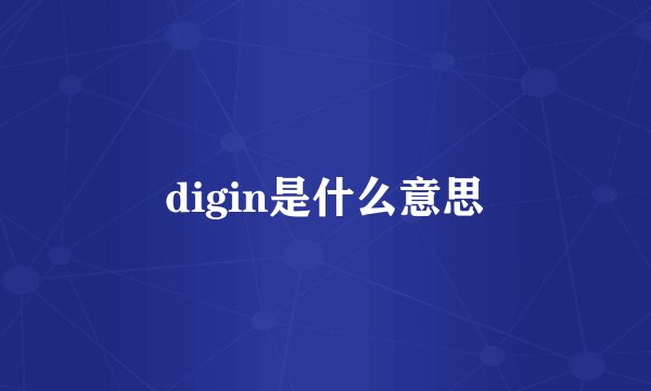 digin是什么意思