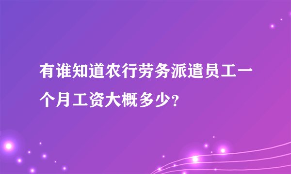 有谁知道农行劳务派遣员工一个月工资大概多少？