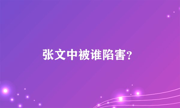 张文中被谁陷害？
