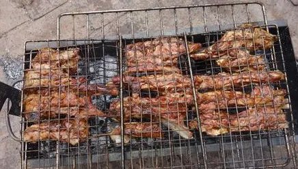 坝上草原的住宿条件怎么样?