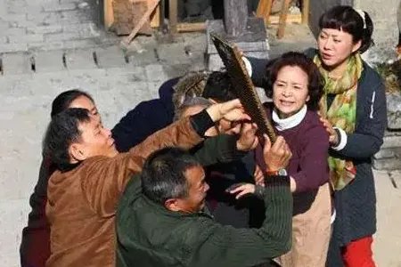 刘莉莉主演的电视剧全部有哪些?