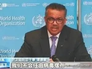 美国退出世卫组织有何后果？