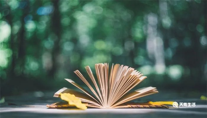 什么叫大智若愚