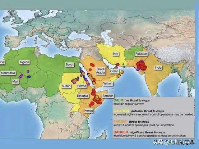 非洲蝗虫成灾，已影响印度和巴基斯坦，会传入中国吗？