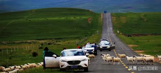 开车旅行是什么感觉呢？