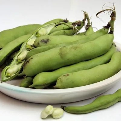 吃牛奶有什么好处