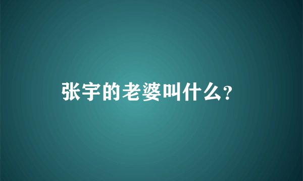 张宇的老婆叫什么？