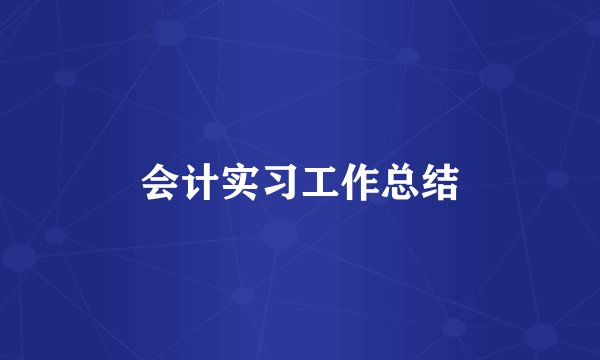 会计实习工作总结