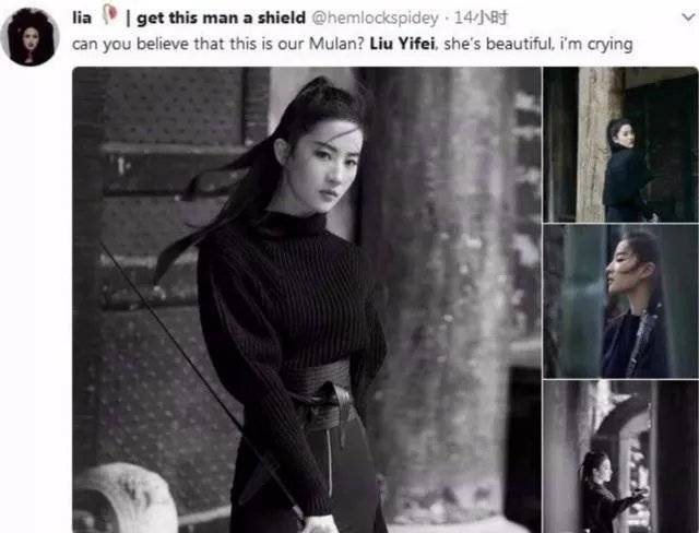 刘亦菲出演花木兰，大家怎么看？