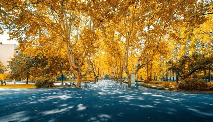 考研最容易调剂的大学