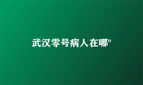 武汉零号病人在哪