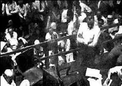 揭秘：“美国猴子案件”始末