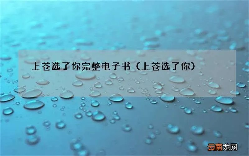 上苍选了你 上苍选了你完整电子书