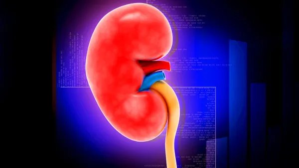 老年人尿血是怎么回事