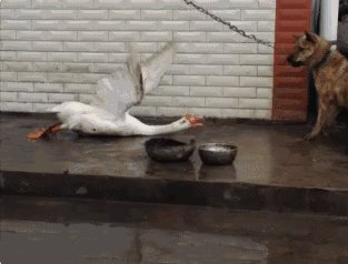 沃尔沃v40怎么样，知道的进来聊两句？