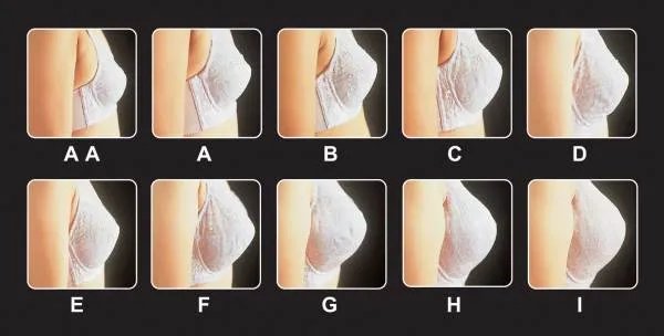 d罩杯有多大图片