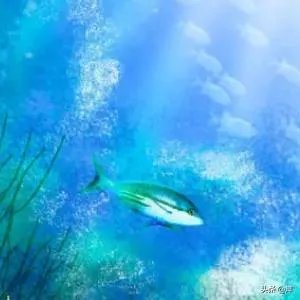 北海有哪些好玩的地方？