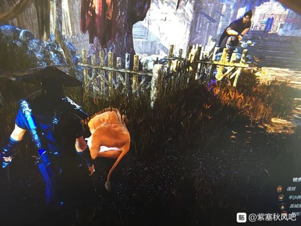 《紫塞秋风》图文攻略 任务流程图文攻略