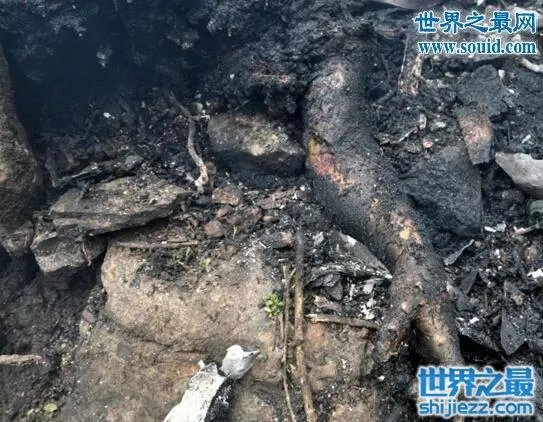 97年南航空难录音,97南航5.8空难真相大曝光