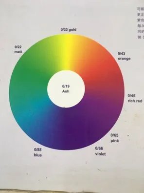 威娜美发色板大全