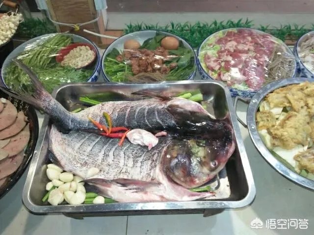 车公庙喜年大酒楼和顺德佬的哪家好吃？