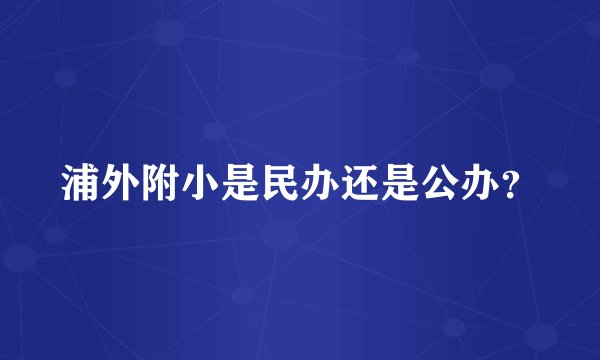 浦外附小是民办还是公办？