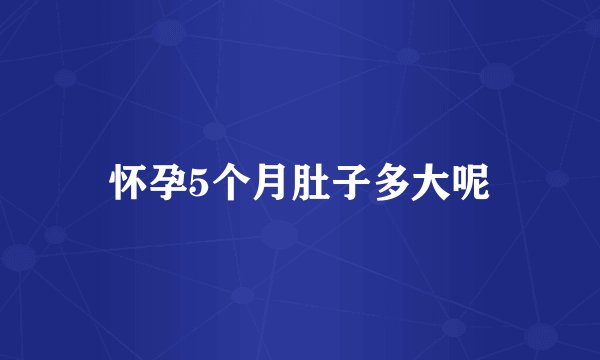 怀孕5个月肚子多大呢