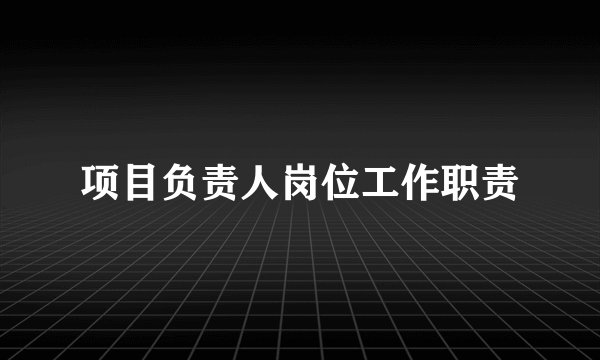 项目负责人岗位工作职责