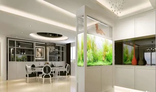 如何优雅的布置一个十公升的小水族箱？