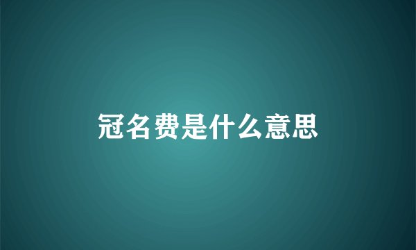 冠名费是什么意思