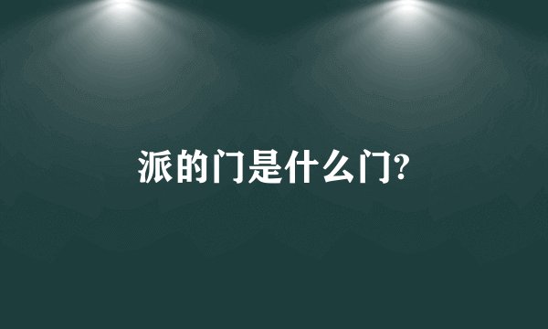 派的门是什么门?