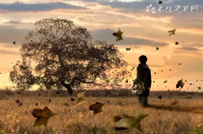 如何使用安抚奶嘴_安抚奶嘴的作用