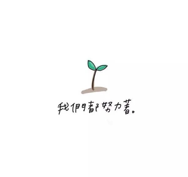 关于雷锋的故事（300字）？