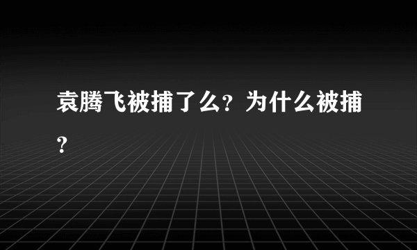 袁腾飞被捕了么？为什么被捕？