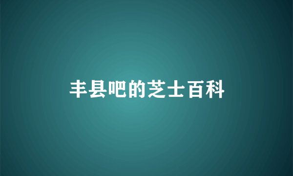 丰县吧的芝士百科