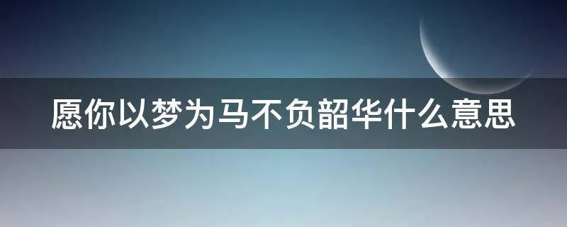 愿你以梦为马不负韶华什么意思