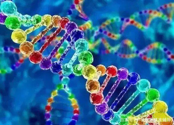 农村经常说“牛生麒麟猪生象”，到底是怎么回事？