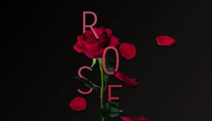 情人节发多少红包 情人节发红包数字含义