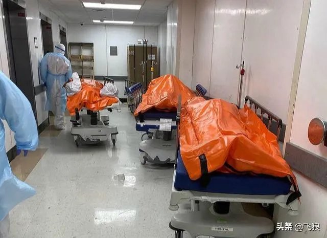 美国退出世卫组织有何后果？