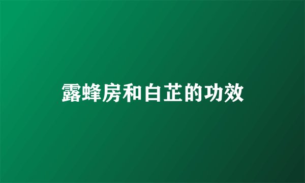 露蜂房和白芷的功效