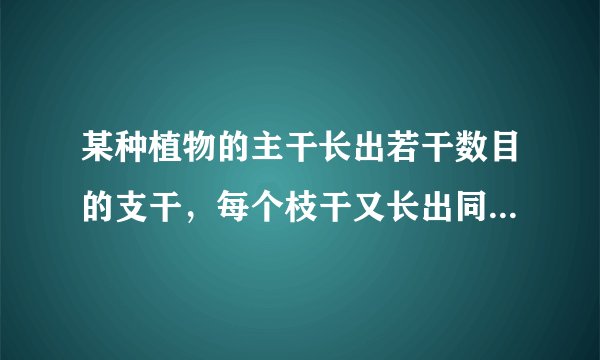某种植物的主干长出若干数目的支干，每个枝干又长出同样数目，主干，枝干和小分支的总数是13，一只蚂蚁
