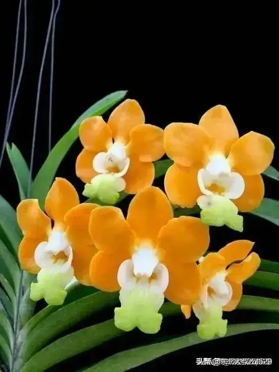 别的国家现在疫情怎么样了