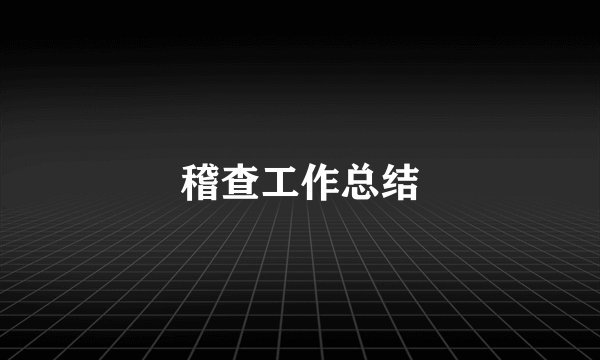 稽查工作总结