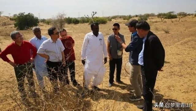 巴基斯坦蝗灾怎么样了？最近怎么感觉没人提及？