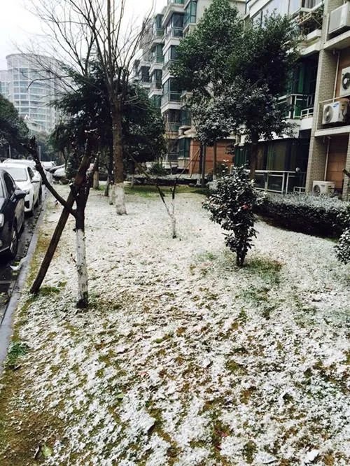 宁波的冬天会下雪吗?
