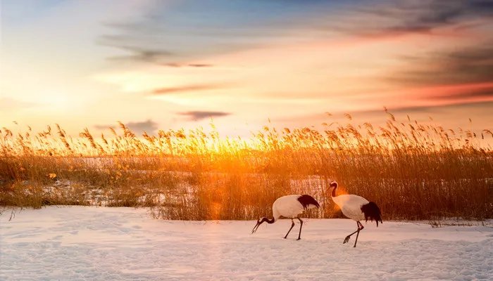 达尔文发明了什么