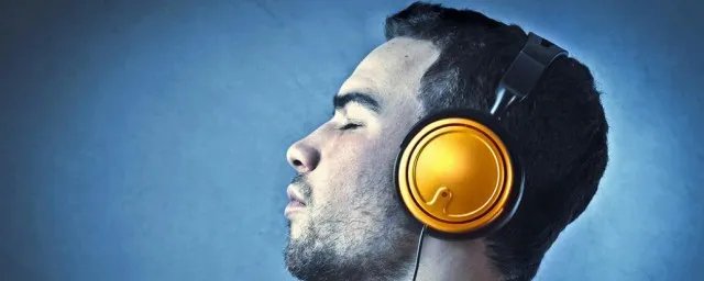 我从未爱过你怎么会想念你歌词 这首歌详细介绍