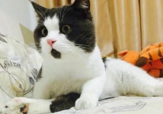 oh la la法语是什么意思