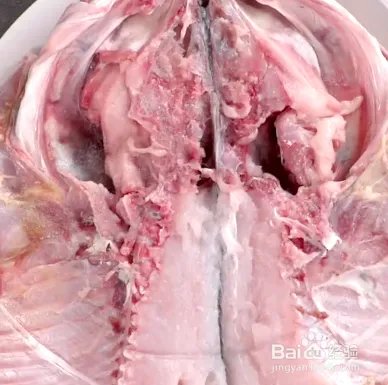 青椒鱼的做法川菜视频