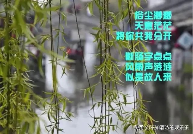 似是故人来歌词解析林夕